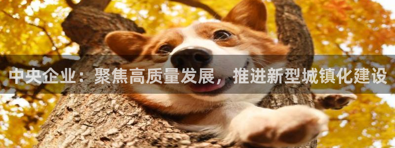 新宝5彩票娱乐平台：中央企业：聚焦高质量发展，推进新型城镇化