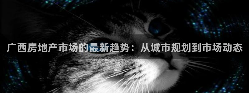 新宝5五：广西房地产市场的最新趋势：从城市规划到市场动态