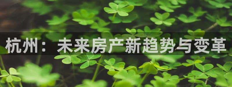 新宝5：杭州：未来房产新趋势与变革
