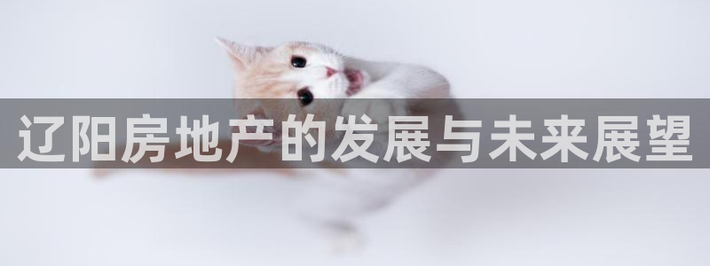 新宝5黑彩