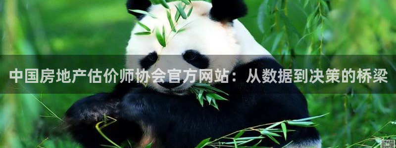 新宝5-测速：中国房地产估价师协会官方网站：从数据到决策的桥