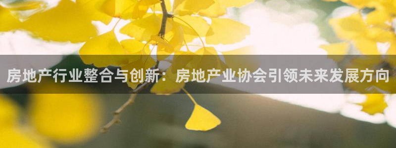 新5宝：房地产行业整合与创新：房地产业协会引领未来发展方向