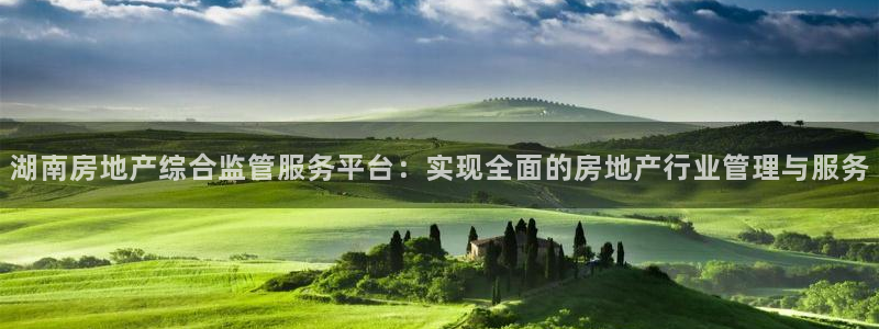 新宝5注册流程：湖南房地产综合监管服务平台：实现全面的房地产