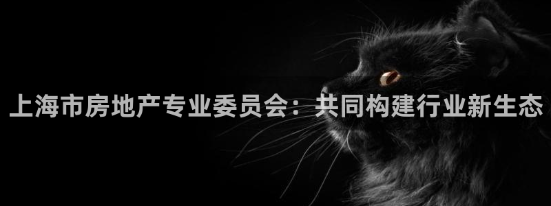 新宝5娱乐同：上海市房地产专业委员会：共同构建行业新生态