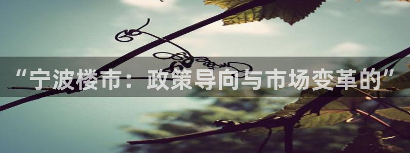 i新宝5：“宁波楼市：政策导向与市场变革的”