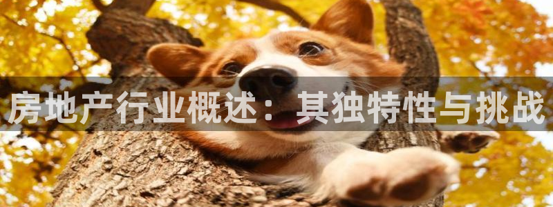 新宝5手机版登录：房地产行业概述：其独特性与挑战