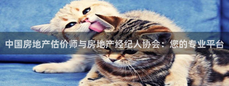 新宝j2O5O5O：中国房地产估价师与房地产经纪人协会：您的