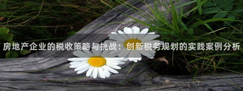新宝5怎么下载到桌面：房地产企业的税收策略与挑战：创新税务规