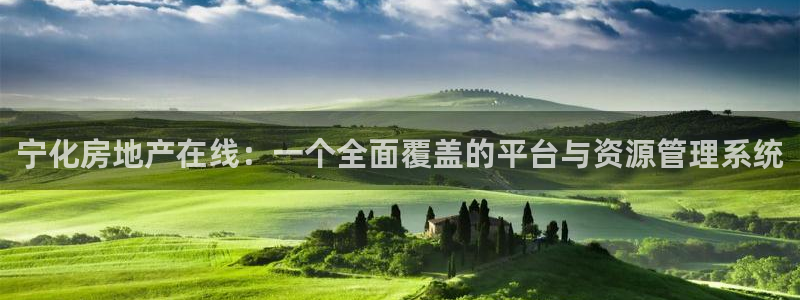 新宝5培训：宁化房地产在线：一个全面覆盖的平台与资源管理系统