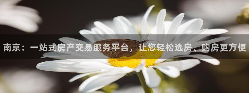 新宝5得74OOO5：南京：一站式房产交易服务平台，让您轻松