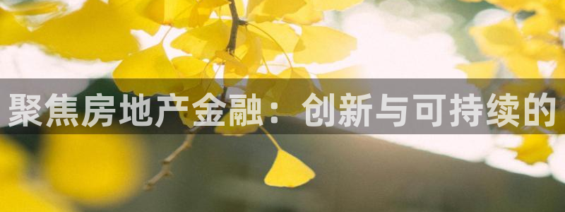 新宝5下载app