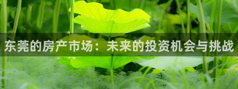 新宝5客户端登录：东莞的房产市场：未来的投资机会与挑战