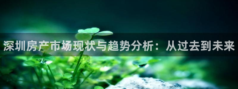 新宝5娱乐平台：深圳房产市场现状与趋势分析：从过去到未来