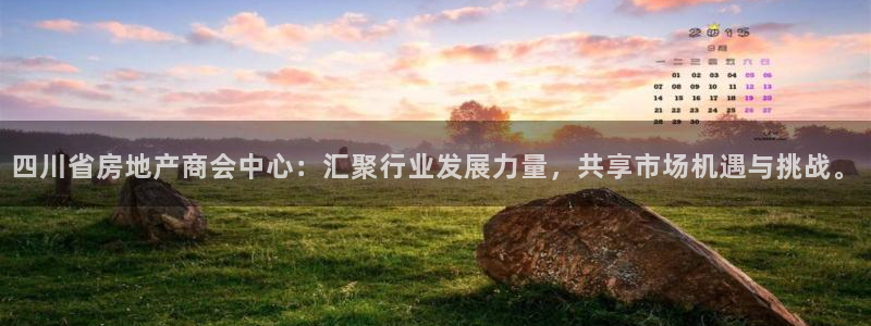 新宝5源码：四川省房地产商会中心：汇聚行业发展力量，共享市场