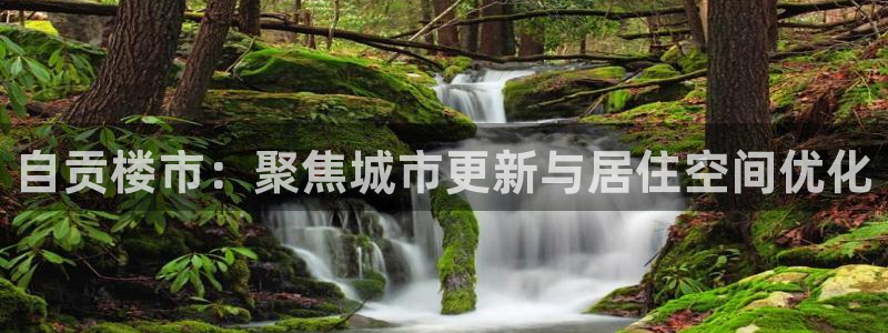 新宝5娱乐没