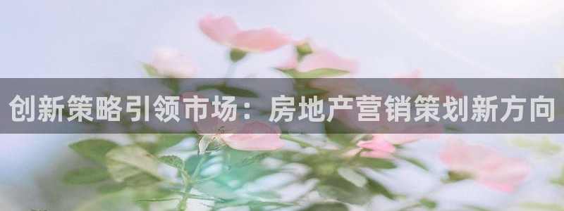新宝5在哪里：创新策略引领市场：房地产营销策划新方向