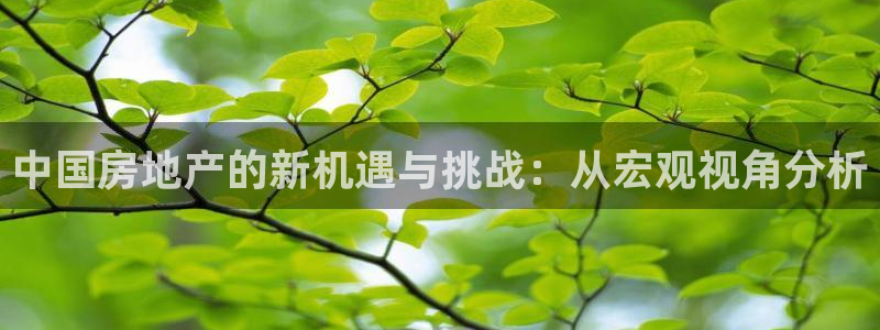 新宝5 唯一：中国房地产的新机遇与挑战：从宏观视角分析