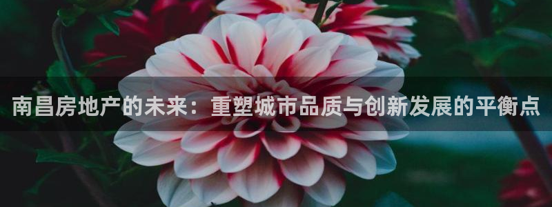 新宝5app手机下载：南昌房地产的未来：重塑城市品质与创新发