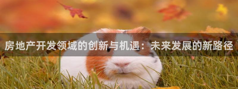新宝5招商：房地产开发领域的创新与机遇：未来发展的新路径