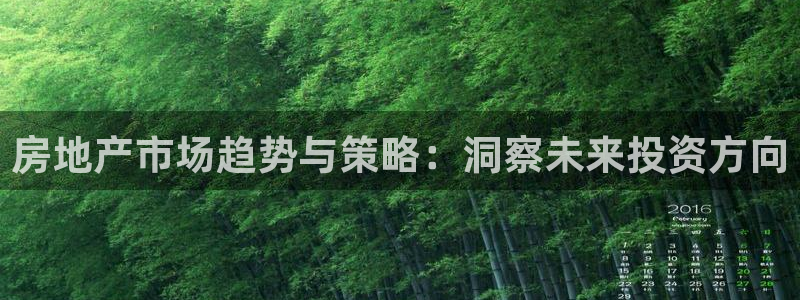 新宝rm5：房地产市场趋势与策略：洞察未来投资方向