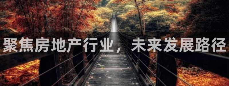 新宝5平台注册资金：聚焦房地产行业，未来发展路径