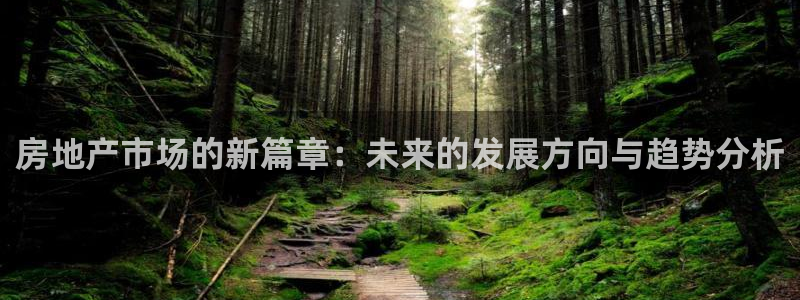 新宝5平台登录注册：房地产市场的新篇章：未来的发展方向与趋势