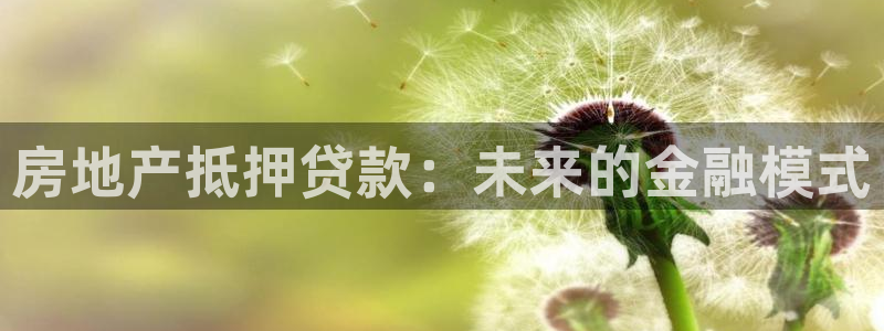 新宝5手机平台登陆：房地产抵押贷款：未来的金融模式