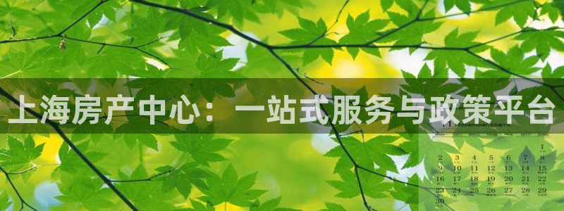 新宝5登录霸：上海房产中心：一站式服务与政策平台