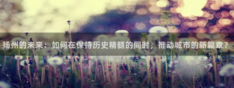 新宝5网址：扬州的未来：如何在保持历史精髓的同时，推动城市的