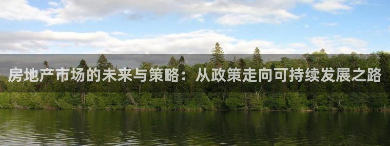新宝5日谢29999：房地产市场的未来与策略：从政策走向可持
