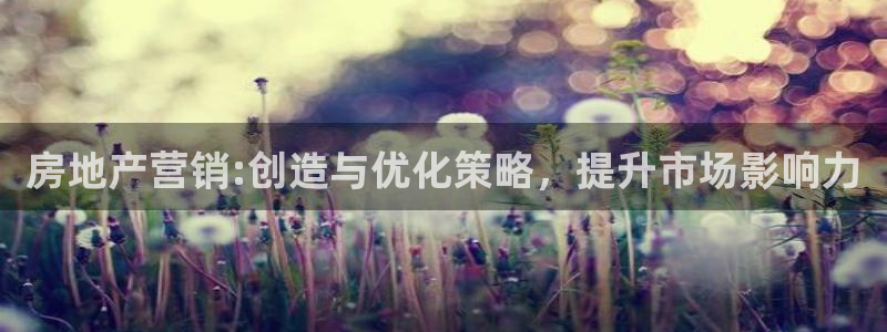 新宝5网址：房地产营销:创造与优化策略，提升市场影响力