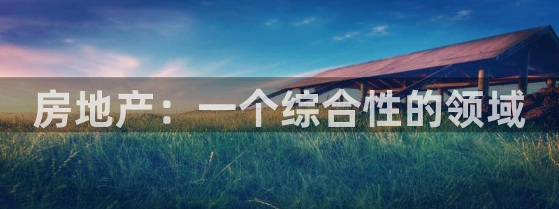 新宝5网址：房地产：一个综合性的领域