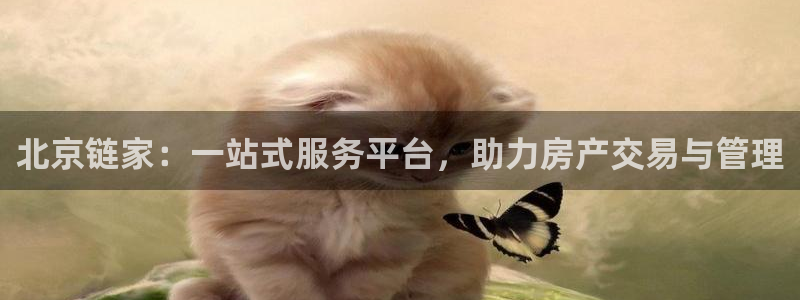 新宝5是什么样子的：北京链家：一站式服务平台，助力房产交易与