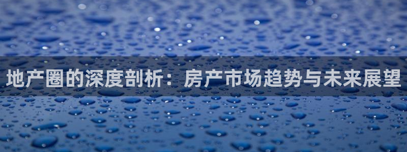 新宝5新宝6顺达：地产圈的深度剖析：房产市场趋势与未来展望