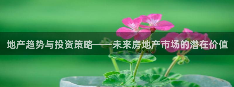 新宝5平台注册资金：地产趋势与投资策略——未来房地产市场的潜