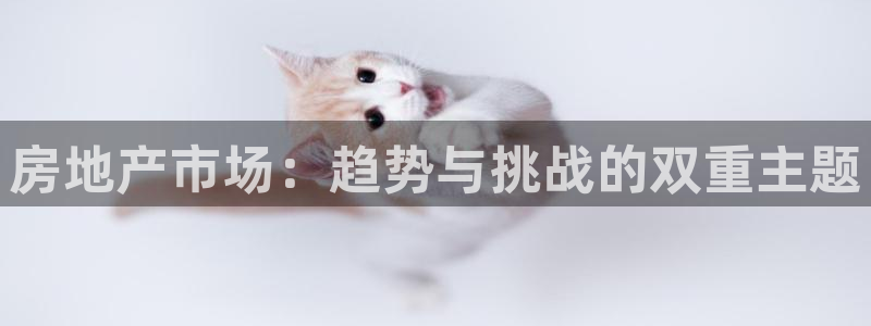 新宝5 测速：房地产市场：趋势与挑战的双重主题
