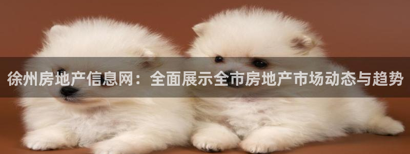 新宝_5：徐州房地产信息网：全面展示全市房地产市场动态与趋势
