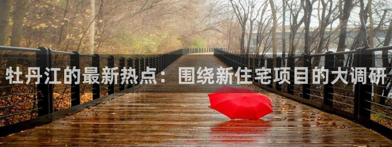 新宝5是什么：牡丹江的最新热点：围绕新住宅项目的大调研