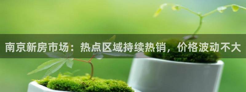 新宝5彩票娱乐平台：南京新房市场：热点区域持续热销，价格波动