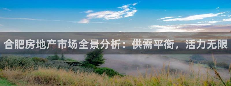 新宝5怎么代理：合肥房地产市场全景分析：供需平衡，活力无限