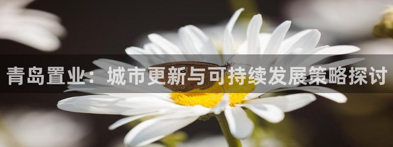 新宝5娱乐平台：青岛置业：城市更新与可持续发展策略探讨