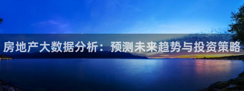 新宝h2O5O5O：房地产大数据分析：预测未来趋势与投资策略