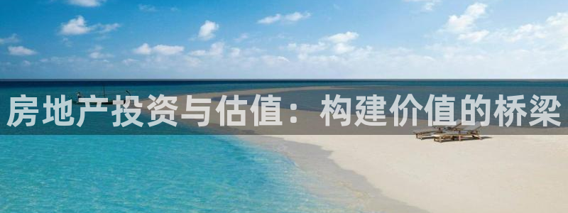 新宝5月：房地产投资与估值：构建价值的桥梁