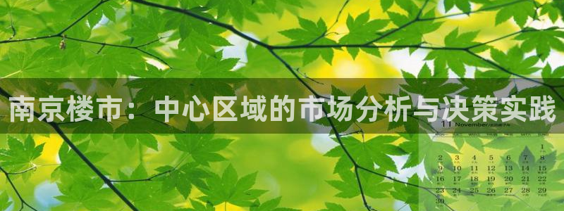 新宝5 888：南京楼市：中心区域的市场分析与决策实践