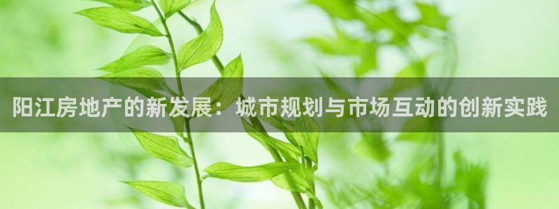 新宝5下载 迅雷下载：阳江房地产的新发展：城市规划与市场互动
