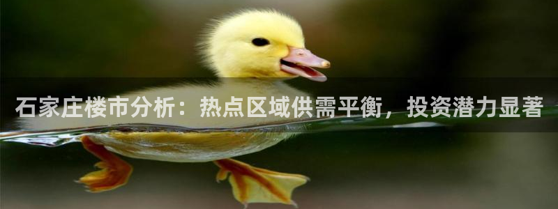 新宝5唯一：石家庄楼市分析：热点区域供需平衡，投资潜力显著