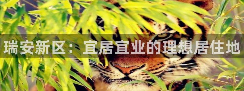 新宝5网址：瑞安新区：宜居宜业的理想居住地