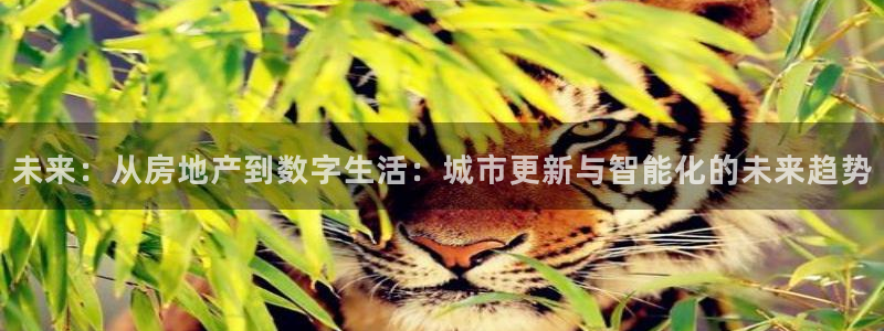 新宝5卫74OOO5：未来：从房地产到数字生活：城市更新与智