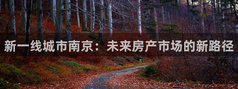 新宝5官网平台：新一线城市南京：未来房产市场的新路径