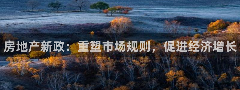 新宝5下载官方：房地产新政：重塑市场规则，促进经济增长